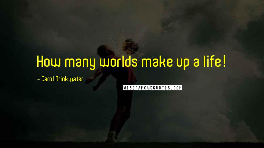 Carol Drinkwater Quotes: How many worlds make up a life!