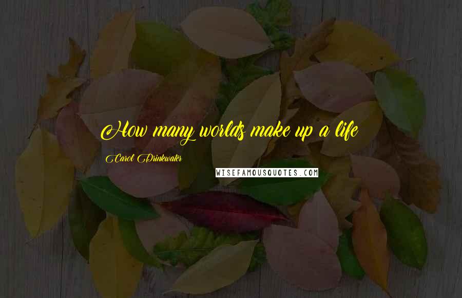Carol Drinkwater Quotes: How many worlds make up a life!