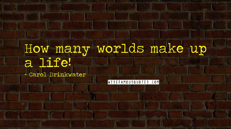 Carol Drinkwater Quotes: How many worlds make up a life!