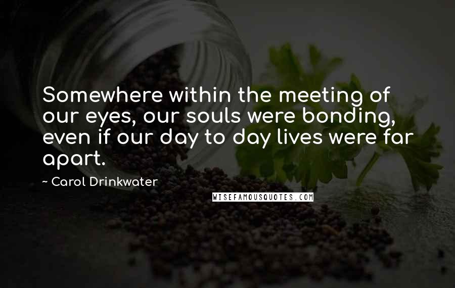 Carol Drinkwater Quotes: Somewhere within the meeting of our eyes, our souls were bonding, even if our day to day lives were far apart.