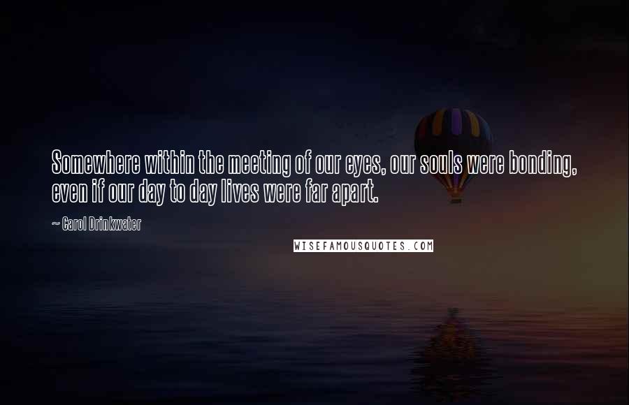 Carol Drinkwater Quotes: Somewhere within the meeting of our eyes, our souls were bonding, even if our day to day lives were far apart.