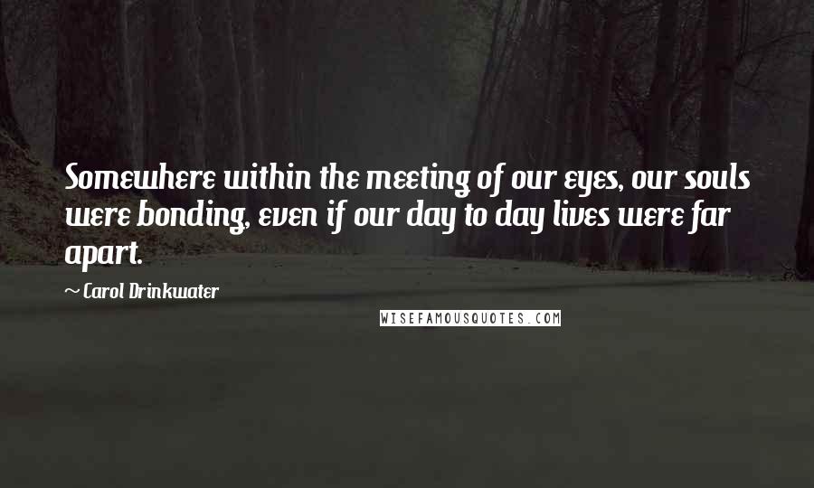 Carol Drinkwater Quotes: Somewhere within the meeting of our eyes, our souls were bonding, even if our day to day lives were far apart.