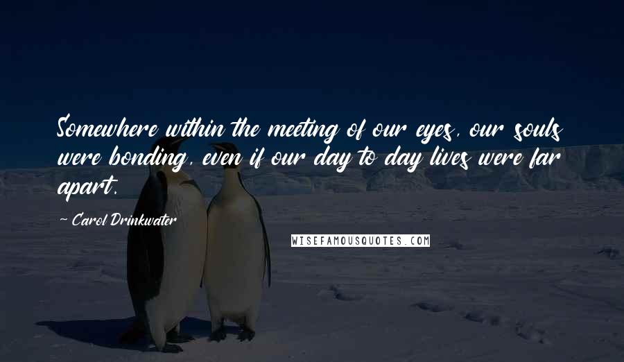 Carol Drinkwater Quotes: Somewhere within the meeting of our eyes, our souls were bonding, even if our day to day lives were far apart.