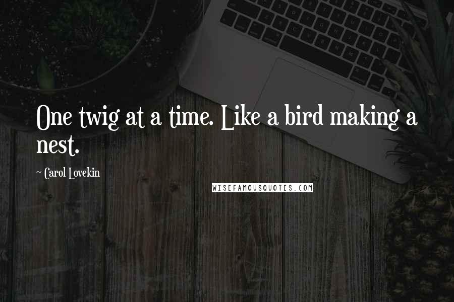 Carol Lovekin Quotes: One twig at a time. Like a bird making a nest.