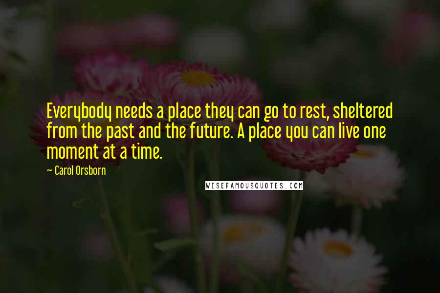 Carol Orsborn Quotes: Everybody needs a place they can go to rest, sheltered from the past and the future. A place you can live one moment at a time.