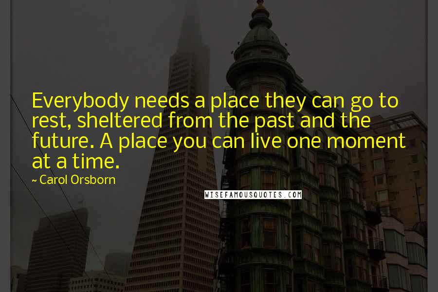 Carol Orsborn Quotes: Everybody needs a place they can go to rest, sheltered from the past and the future. A place you can live one moment at a time.