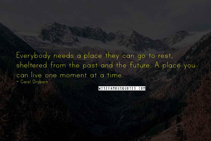 Carol Orsborn Quotes: Everybody needs a place they can go to rest, sheltered from the past and the future. A place you can live one moment at a time.