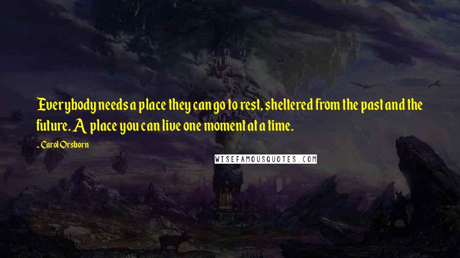 Carol Orsborn Quotes: Everybody needs a place they can go to rest, sheltered from the past and the future. A place you can live one moment at a time.