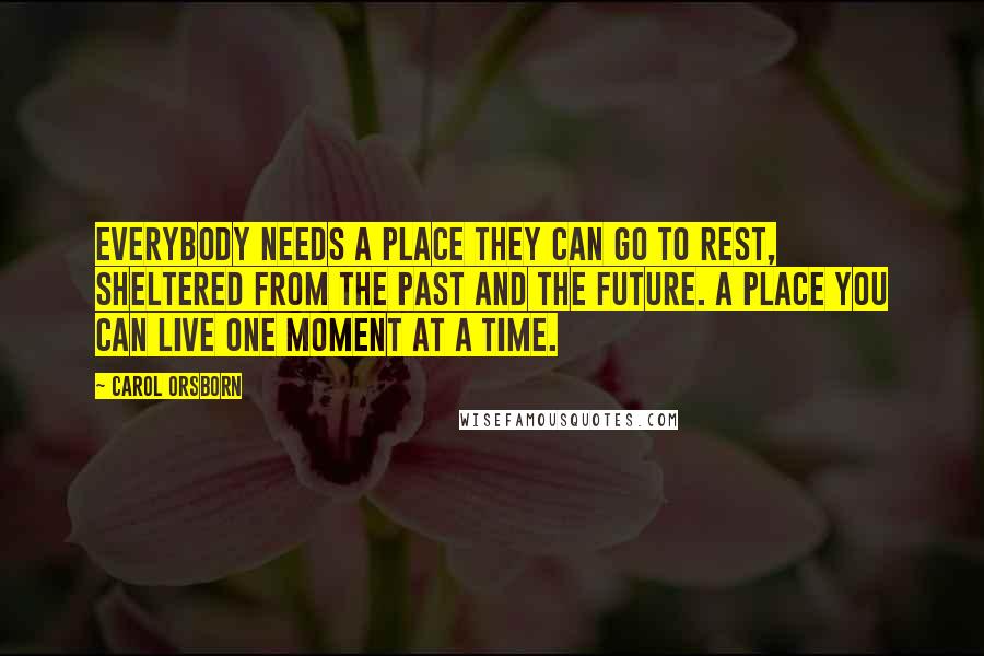 Carol Orsborn Quotes: Everybody needs a place they can go to rest, sheltered from the past and the future. A place you can live one moment at a time.