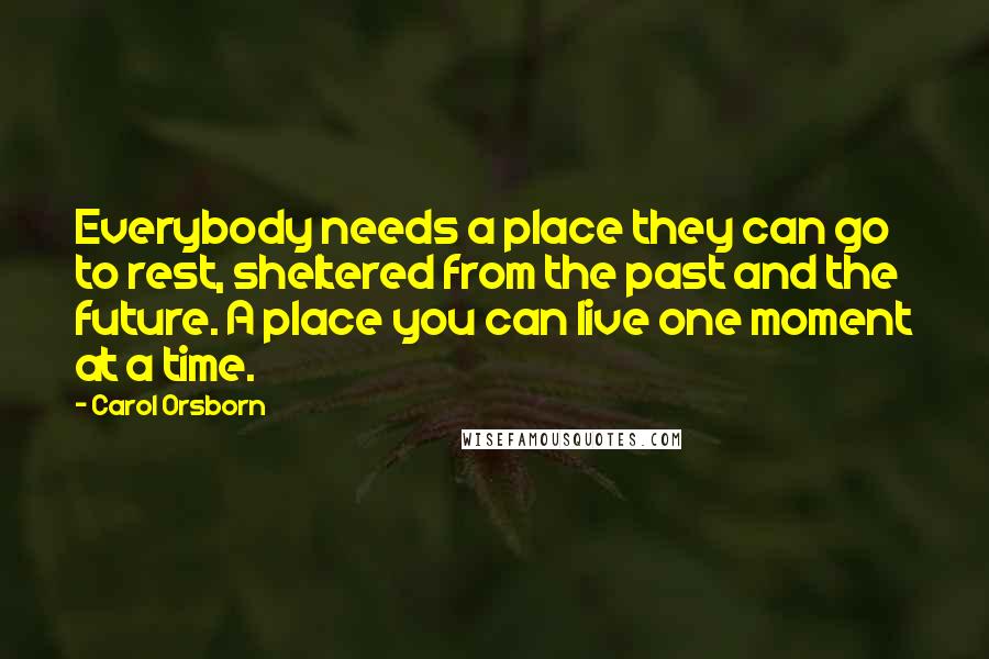 Carol Orsborn Quotes: Everybody needs a place they can go to rest, sheltered from the past and the future. A place you can live one moment at a time.