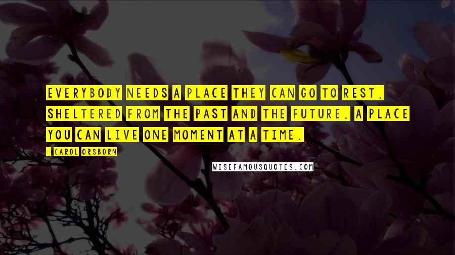 Carol Orsborn Quotes: Everybody needs a place they can go to rest, sheltered from the past and the future. A place you can live one moment at a time.