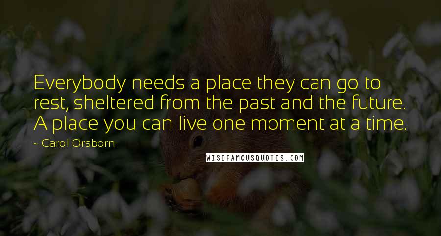 Carol Orsborn Quotes: Everybody needs a place they can go to rest, sheltered from the past and the future. A place you can live one moment at a time.