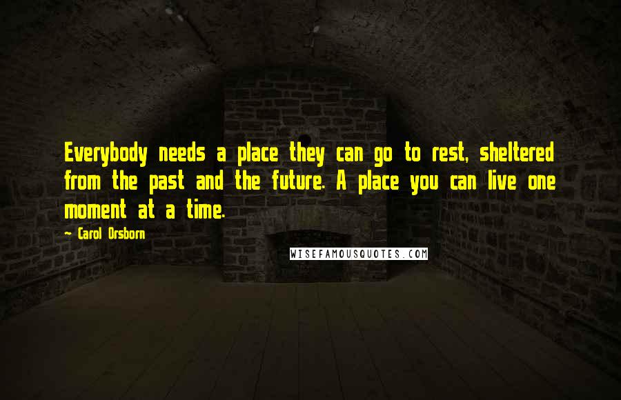 Carol Orsborn Quotes: Everybody needs a place they can go to rest, sheltered from the past and the future. A place you can live one moment at a time.