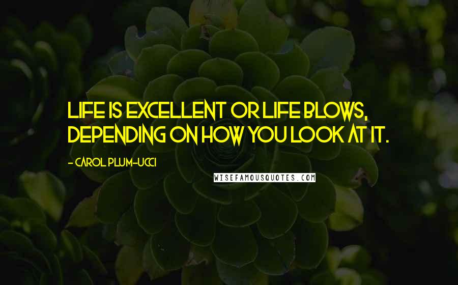 Carol Plum-Ucci Quotes: Life is excellent or life blows, depending on how you look at it.