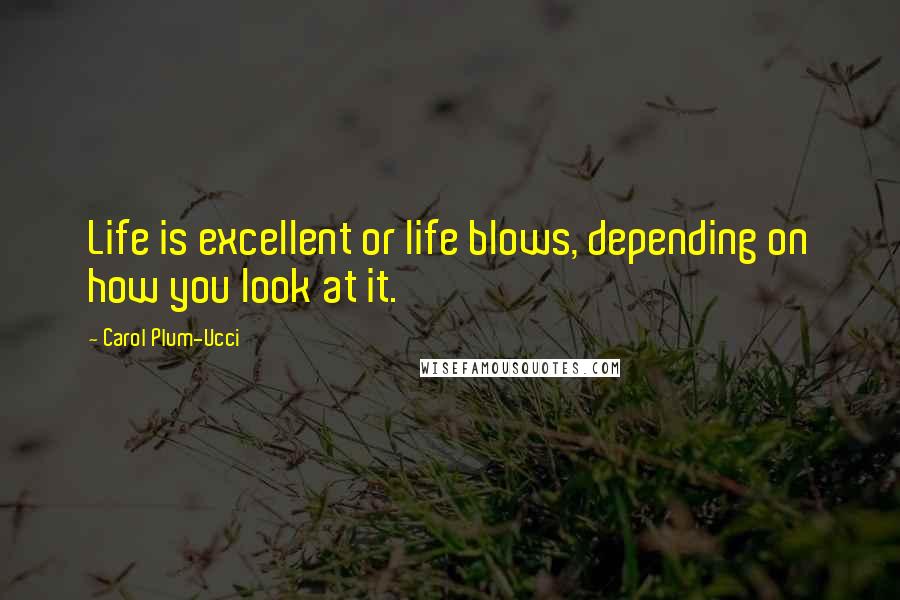 Carol Plum-Ucci Quotes: Life is excellent or life blows, depending on how you look at it.