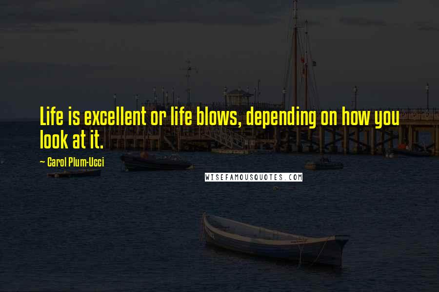 Carol Plum-Ucci Quotes: Life is excellent or life blows, depending on how you look at it.