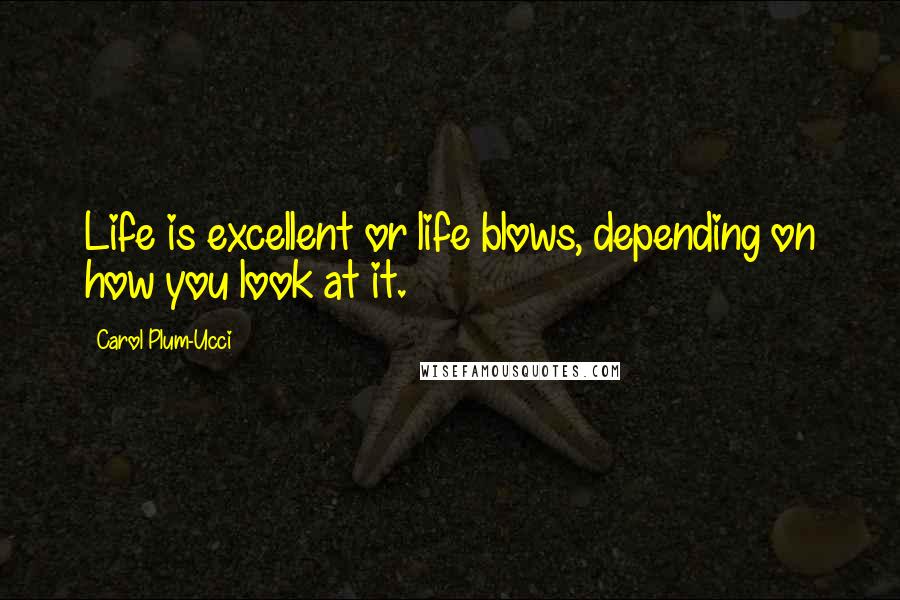 Carol Plum-Ucci Quotes: Life is excellent or life blows, depending on how you look at it.