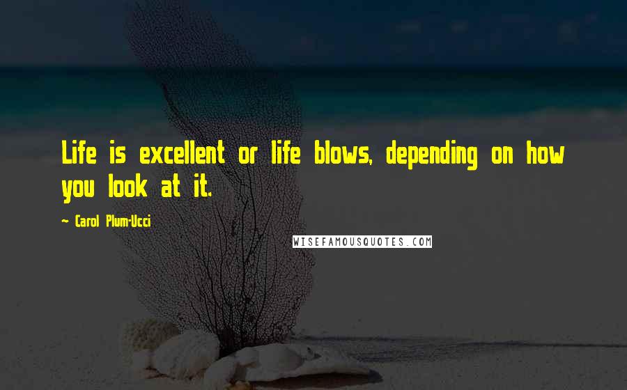 Carol Plum-Ucci Quotes: Life is excellent or life blows, depending on how you look at it.