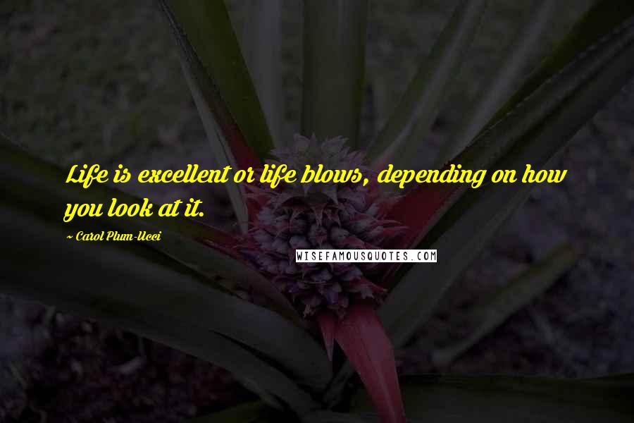 Carol Plum-Ucci Quotes: Life is excellent or life blows, depending on how you look at it.