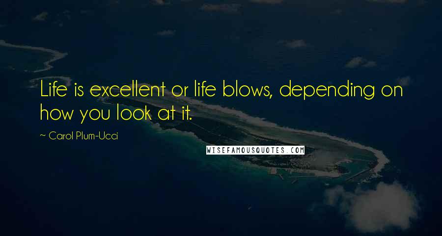 Carol Plum-Ucci Quotes: Life is excellent or life blows, depending on how you look at it.