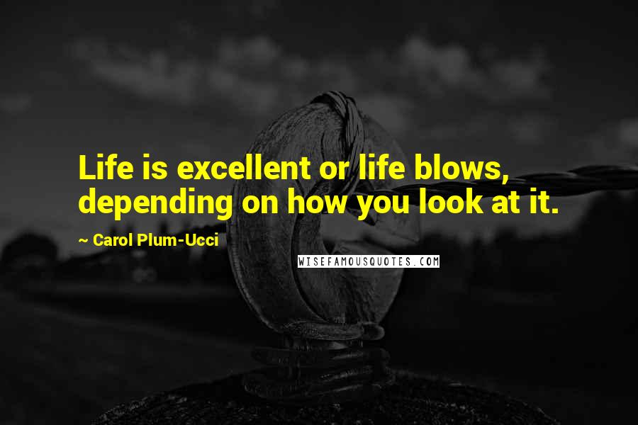 Carol Plum-Ucci Quotes: Life is excellent or life blows, depending on how you look at it.
