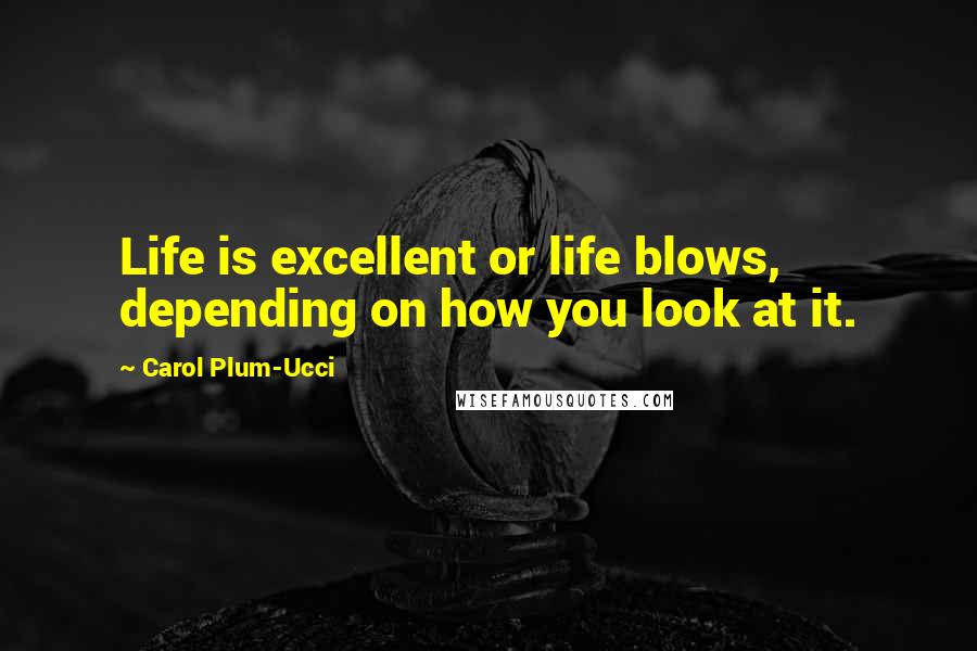 Carol Plum-Ucci Quotes: Life is excellent or life blows, depending on how you look at it.