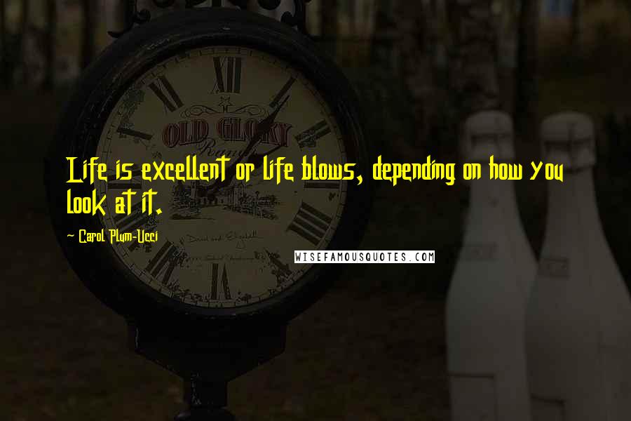 Carol Plum-Ucci Quotes: Life is excellent or life blows, depending on how you look at it.