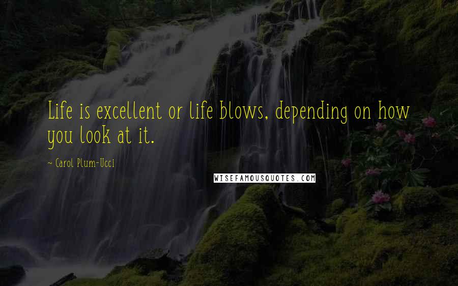 Carol Plum-Ucci Quotes: Life is excellent or life blows, depending on how you look at it.