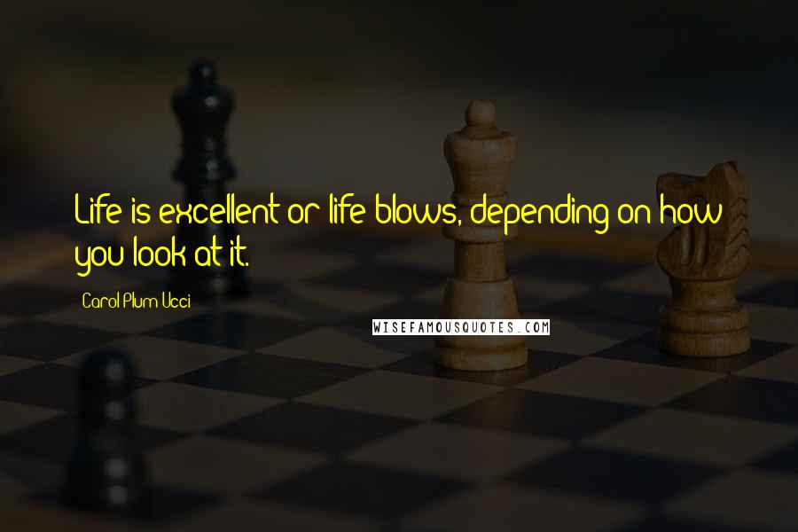 Carol Plum-Ucci Quotes: Life is excellent or life blows, depending on how you look at it.