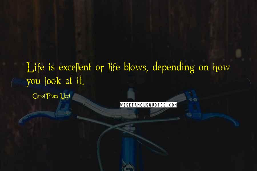 Carol Plum-Ucci Quotes: Life is excellent or life blows, depending on how you look at it.