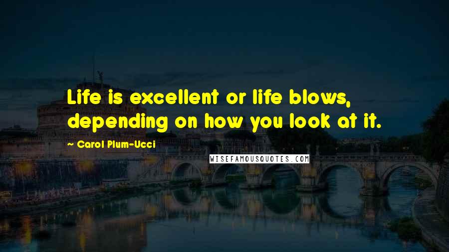 Carol Plum-Ucci Quotes: Life is excellent or life blows, depending on how you look at it.