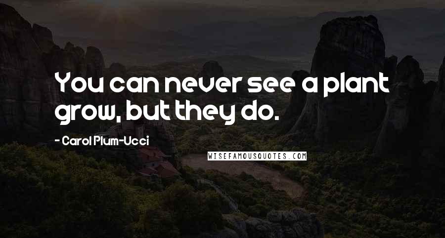 Carol Plum-Ucci Quotes: You can never see a plant grow, but they do.