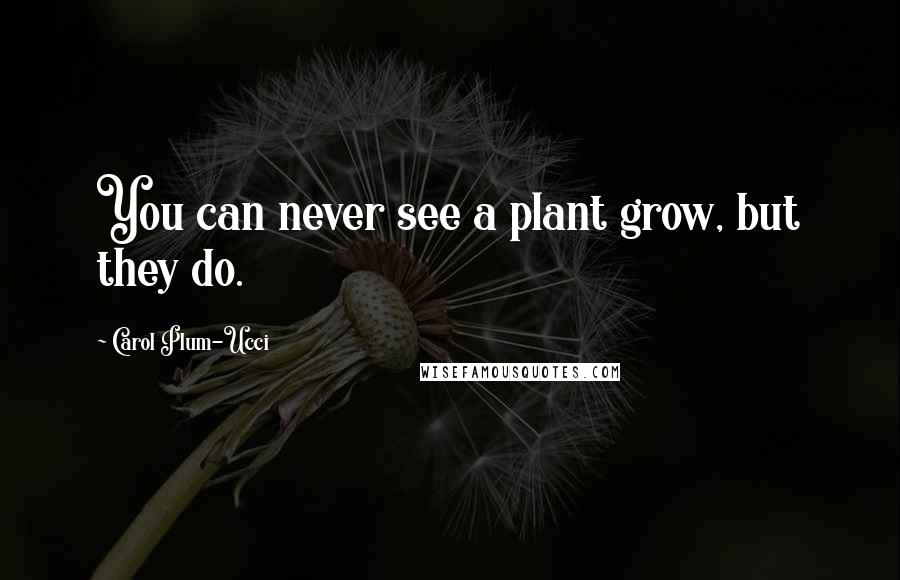 Carol Plum-Ucci Quotes: You can never see a plant grow, but they do.