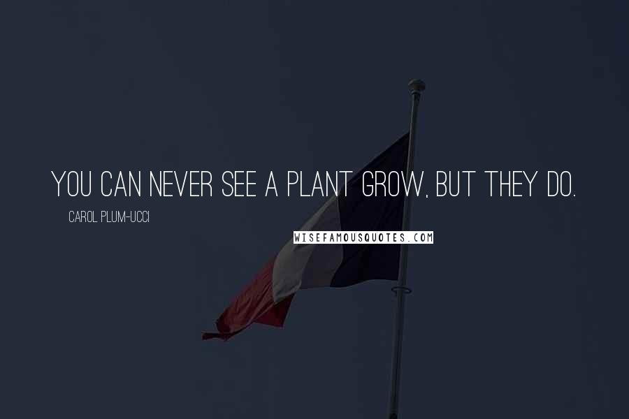 Carol Plum-Ucci Quotes: You can never see a plant grow, but they do.