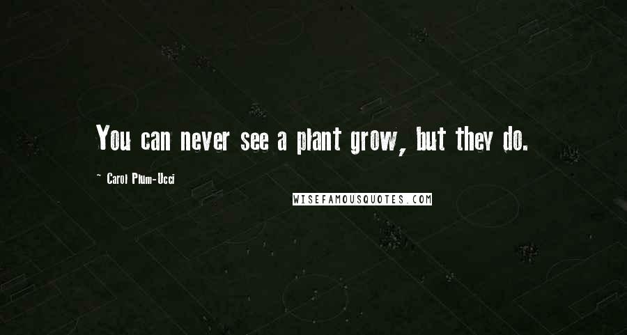Carol Plum-Ucci Quotes: You can never see a plant grow, but they do.