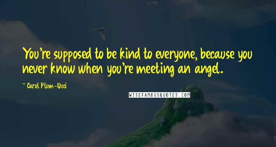 Carol Plum-Ucci Quotes: You're supposed to be kind to everyone, because you never know when you're meeting an angel.