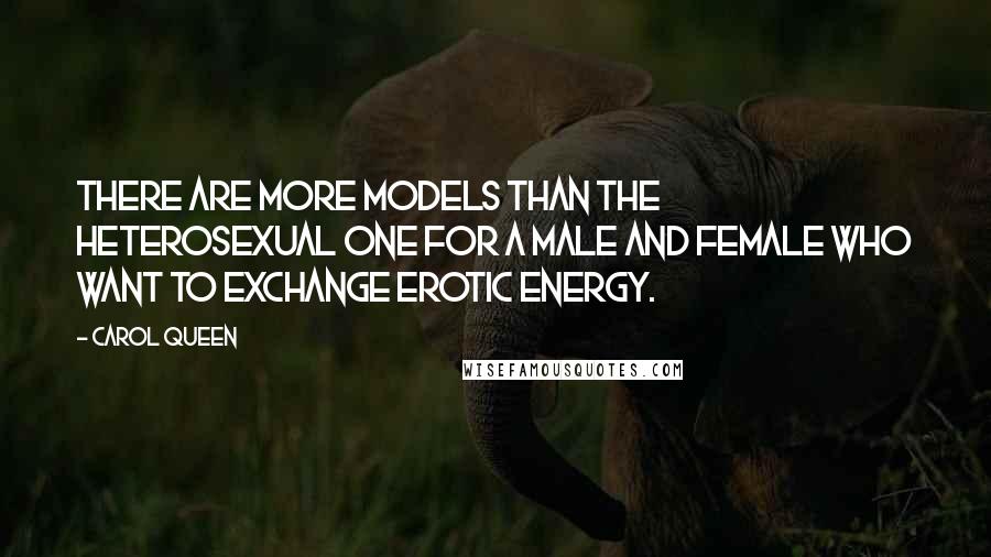 Carol Queen Quotes: There are more models than the heterosexual one for a male and female who want to exchange erotic energy.