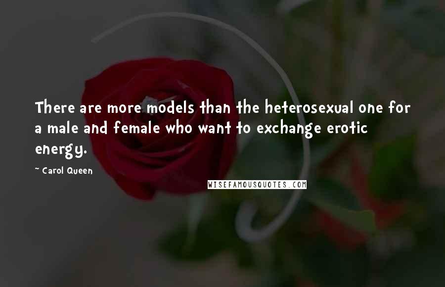 Carol Queen Quotes: There are more models than the heterosexual one for a male and female who want to exchange erotic energy.