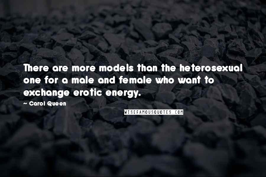 Carol Queen Quotes: There are more models than the heterosexual one for a male and female who want to exchange erotic energy.