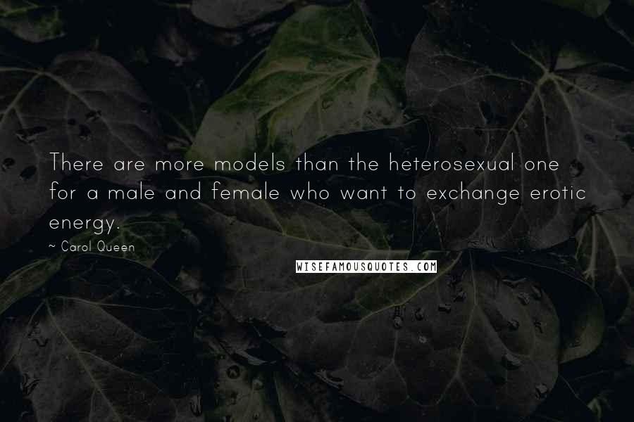 Carol Queen Quotes: There are more models than the heterosexual one for a male and female who want to exchange erotic energy.