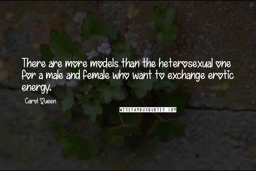 Carol Queen Quotes: There are more models than the heterosexual one for a male and female who want to exchange erotic energy.