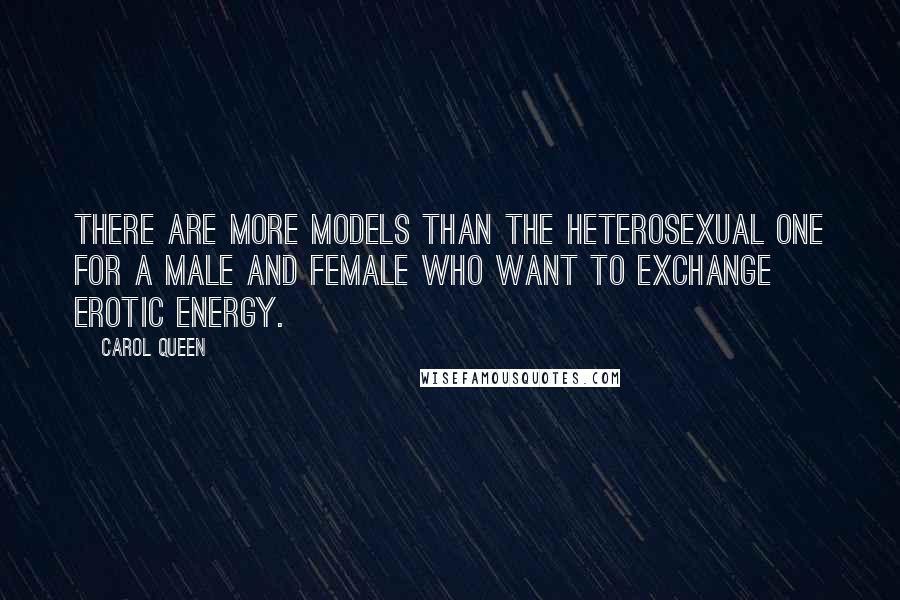 Carol Queen Quotes: There are more models than the heterosexual one for a male and female who want to exchange erotic energy.