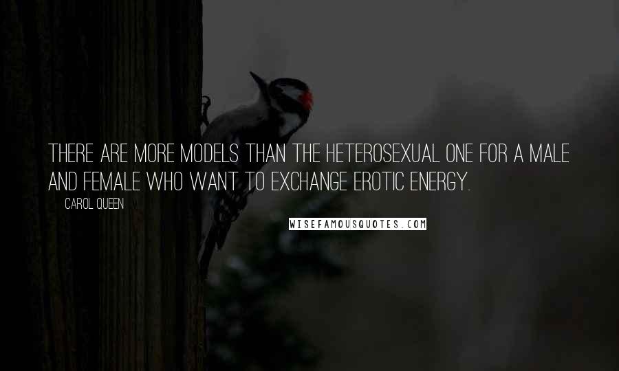 Carol Queen Quotes: There are more models than the heterosexual one for a male and female who want to exchange erotic energy.