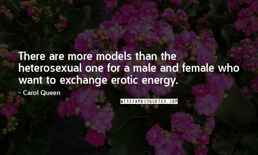 Carol Queen Quotes: There are more models than the heterosexual one for a male and female who want to exchange erotic energy.