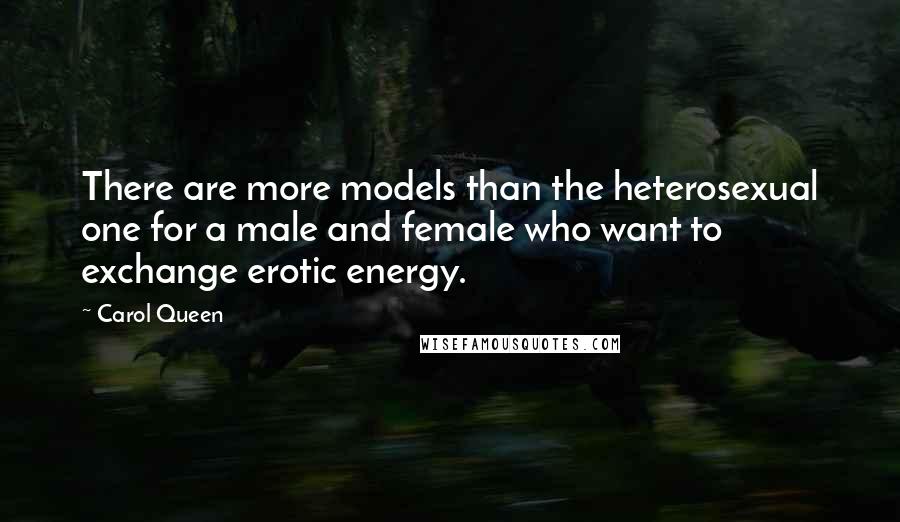 Carol Queen Quotes: There are more models than the heterosexual one for a male and female who want to exchange erotic energy.