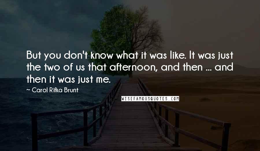 Carol Rifka Brunt Quotes: But you don't know what it was like. It was just the two of us that afternoon, and then ... and then it was just me.