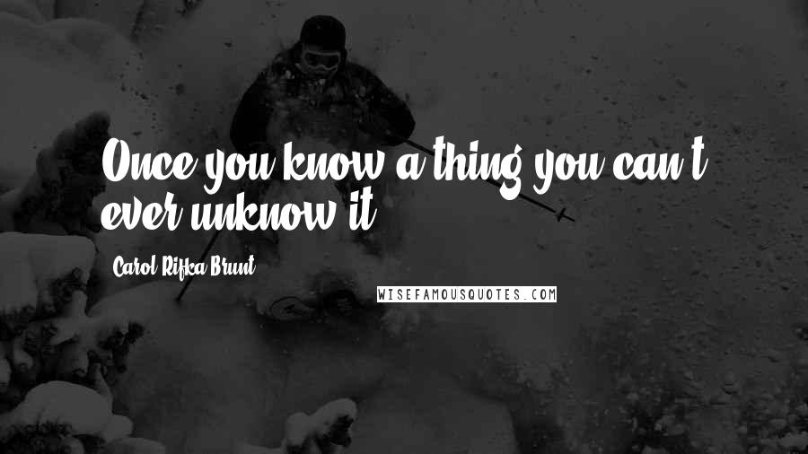 Carol Rifka Brunt Quotes: Once you know a thing you can't ever unknow it.