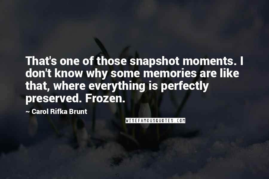 Carol Rifka Brunt Quotes: That's one of those snapshot moments. I don't know why some memories are like that, where everything is perfectly preserved. Frozen.