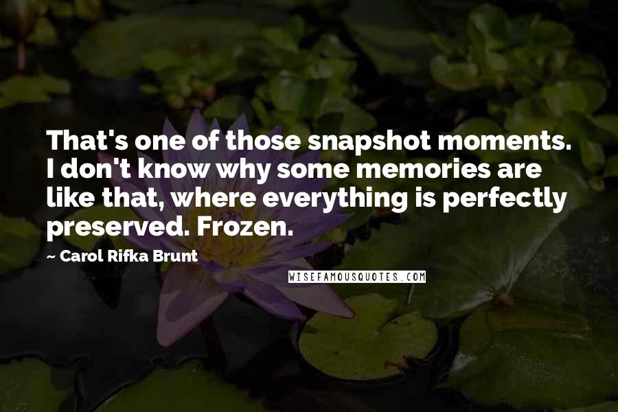 Carol Rifka Brunt Quotes: That's one of those snapshot moments. I don't know why some memories are like that, where everything is perfectly preserved. Frozen.