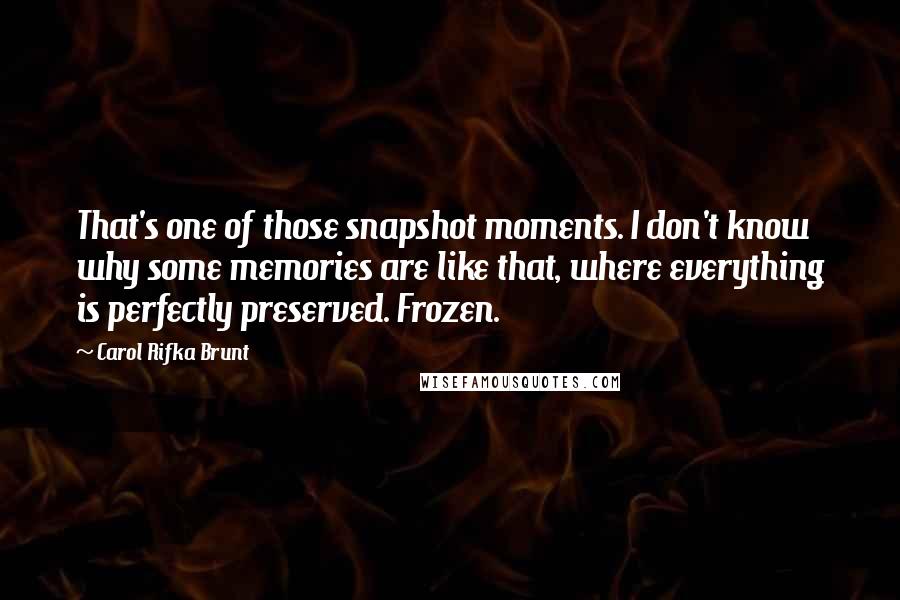 Carol Rifka Brunt Quotes: That's one of those snapshot moments. I don't know why some memories are like that, where everything is perfectly preserved. Frozen.